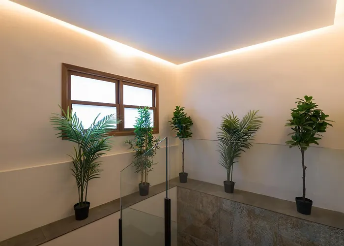 דירה Off Pedro Diaz